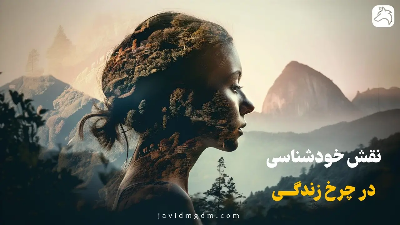 نقش خودشناسی در چرخ زندگی افراد