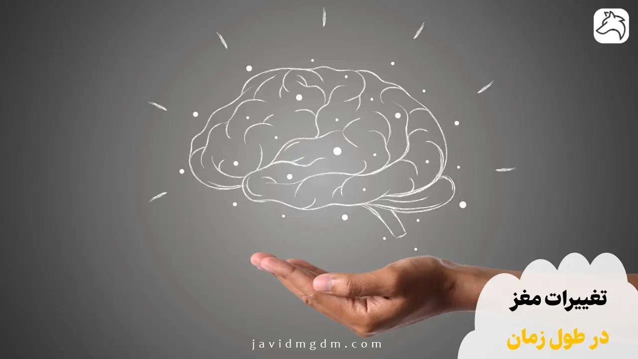 تغییرات مغز در طول زمان