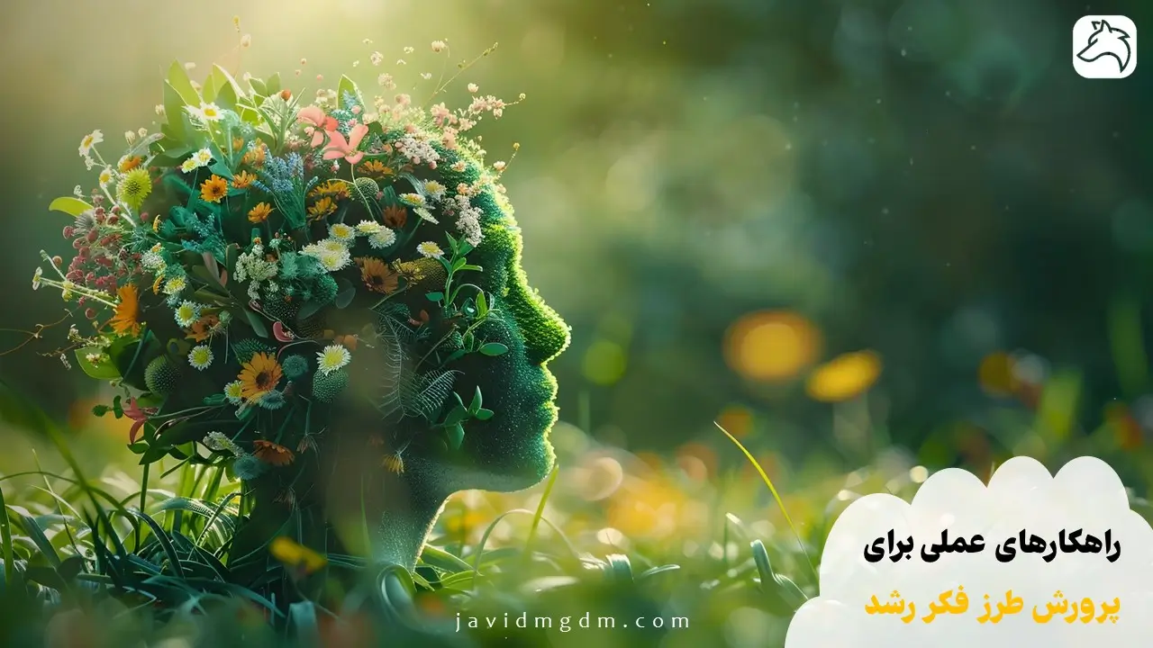 راهکارهای عملی برای پرورش طرز فکر رشد